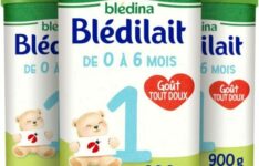 lait infantile pour bébé - Blédina Blédilait 1