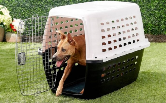 La cage pour chien en plastique