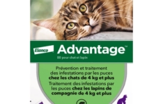 Advantage 80 mg  pour chat (4 pipettes)