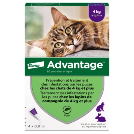 anti-puces pour chat - Advantage 80 mg  pour chat (4 pipettes)