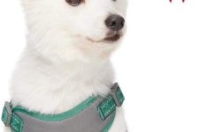 harnais pour petit chien - Amazon Brand Umi ‎Taille M