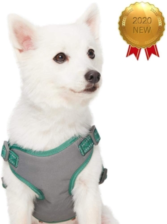 harnais pour petit chien - Amazon Brand Umi ‎Taille M