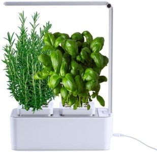  - amzWow Clizia Smart Garden pour plantes aromatiques