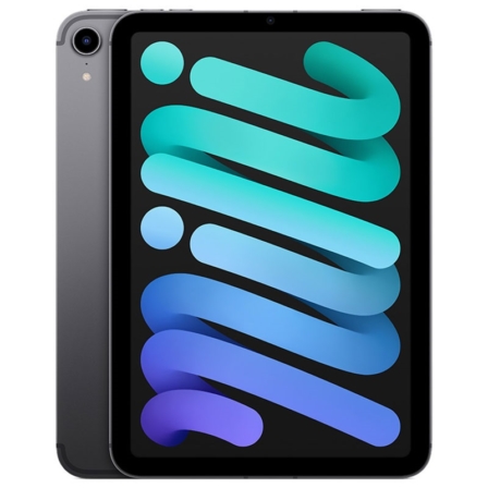 tablette 9 pouces - Apple iPad Mini (2021)