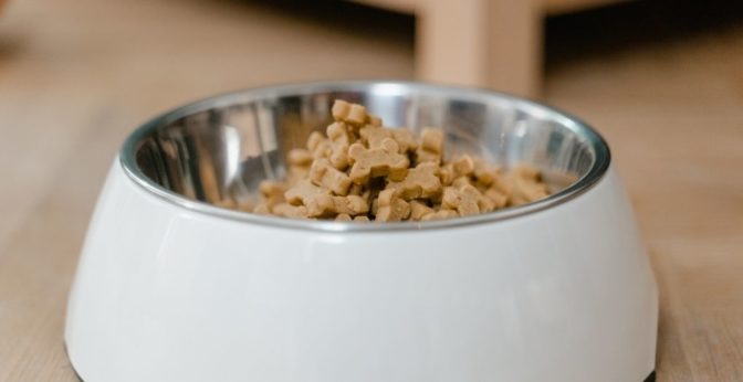 avis nourriture pour chien sans céréales