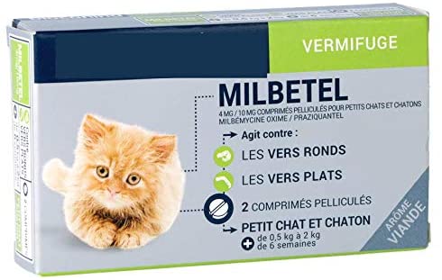 vermifuge pour chat - Biocanina - Milbetel vermifuge chatons et petits chats