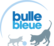 mutuelle pour chien - Bulle Bleue-Mutuelle de santé pour chien
