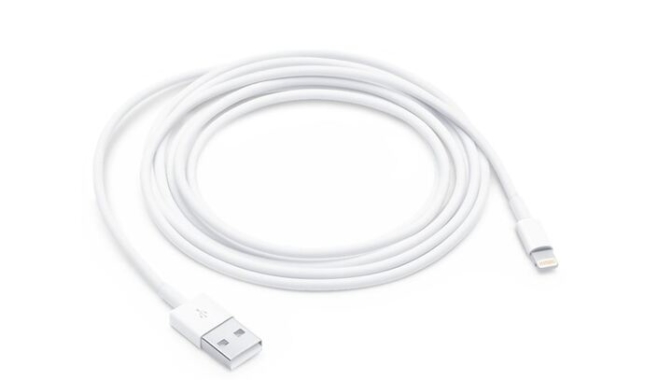 Câble lightning pour iPhone Apple