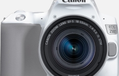 appareil photo pour vidéo - Canon EOS 250D