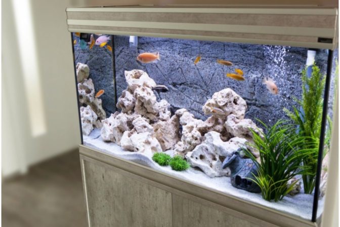 Aquarium 100 litres