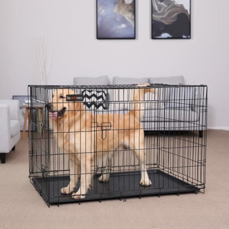 Les meilleures cages pour chien XXL
