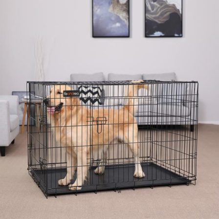Cage de transport XXL pour chien au meilleur prix