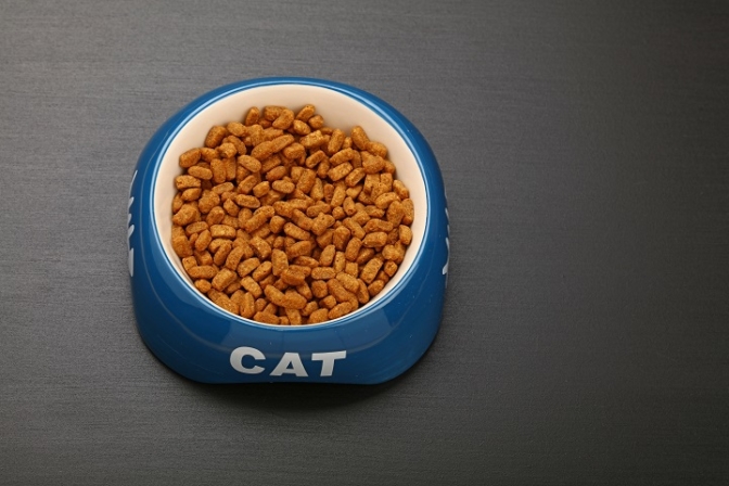 Les meilleures croquettes pour chat sans céréales