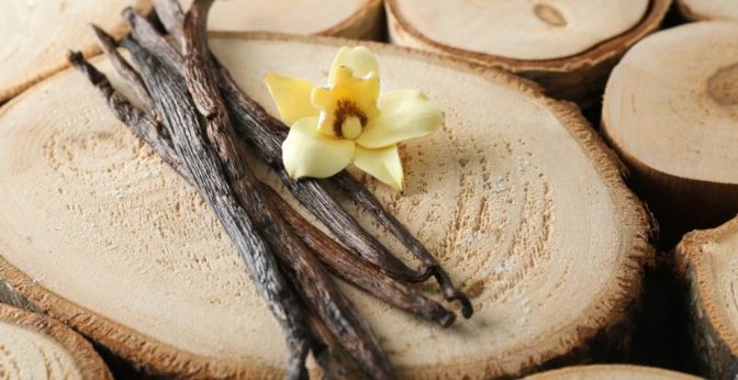 Gousses de vanille rare récolte 2024 - Quelle origine de vanille choisir ?