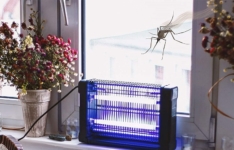 Les meilleures lampes UV anti moustiques