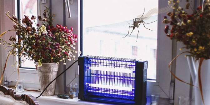 Les meilleures lampes UV anti moustiques