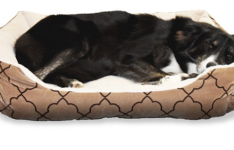 Les meilleurs lits orthopédiques pour chien