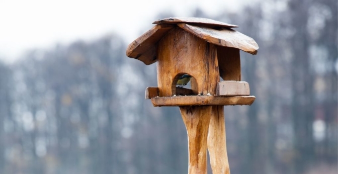 Honeyfields Mangeoire à Oiseaux à Suspendre en métal Robuste pour extérieur et Jardin Vert Facile à Nettoyer Idéal pour Les Oiseaux Sauvages 