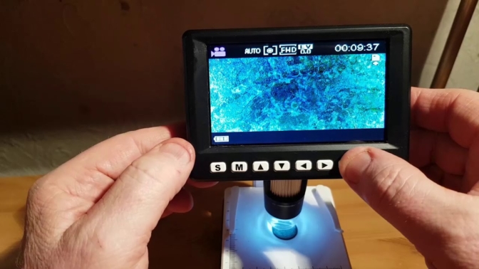microscope numérique - Les meilleurs microscopes numériques