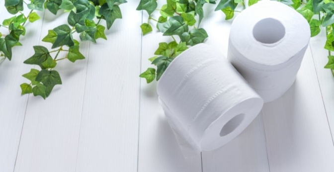 3 idées d'animaux en rouleau de papier toilette - Lotus