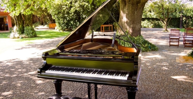 Pianos à Queue – Thomann France