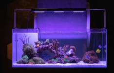 Les meilleures rampes LED pour aquarium