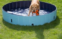 piscine pour chien - Dog Pool Keep Cool