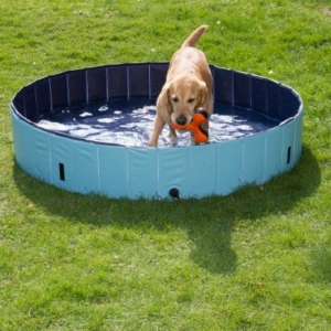 Piscine pour chiens, piscine 140 x 30 cm, piscine pour enfants, piscine  pliante