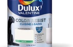 Dulux Valentine Peinture Color Resist