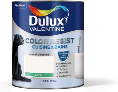  - Dulux Valentine Peinture Color Resist