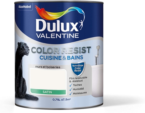 Dulux Valentine Peinture Color Resist