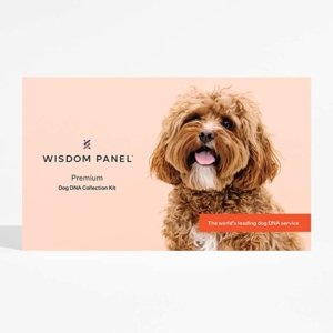  - Wisdom Panel – Test ADN premium pour chien