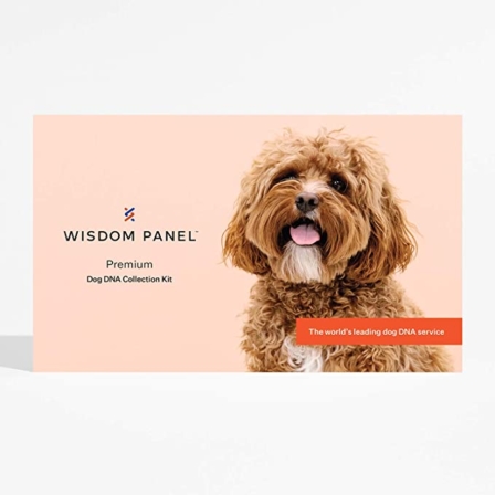 test ADN pour chien - Wisdom Panel – Test ADN premium pour chien