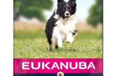 croquette pour chien pas chère - Eukanuba Chien Mature & Senior Agneau