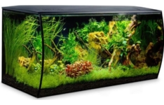 aquarium 100 litres - Fluval Aquarium équipé Flex 123 L – Noir