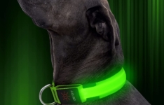 collier lumineux pour chien - Illumifun ‎VB-6SXP-BMN5