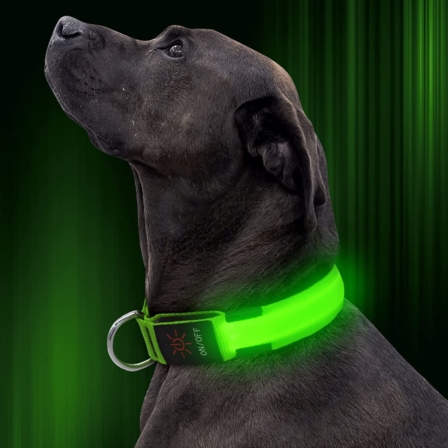 collier lumineux pour chien - Illumifun ‎VB-6SXP-BMN5