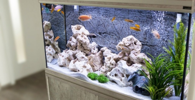 Aquarium 60 litres moderne