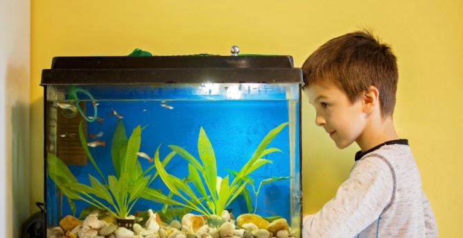 Aquarium 60 litres en acrylique