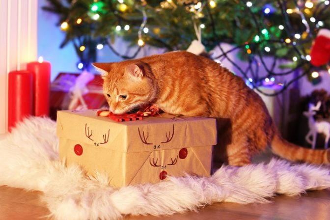 Cloche interactive molaire drôle soulagement de l'ennui sucette de Noël 2 pièces jouet pour chat 
