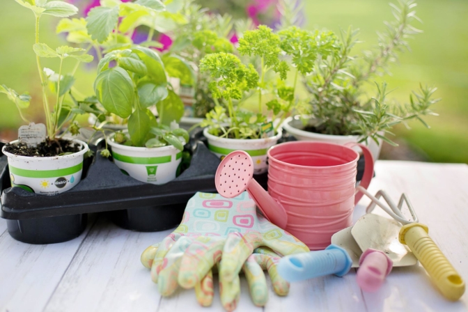 Top 30 des meilleurs outils de jardinage essentiels