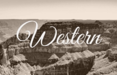 Les 30 meilleurs westerns