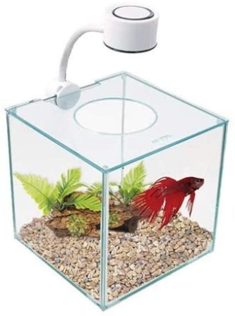 petit aquarium - Marina - Petit aquarium