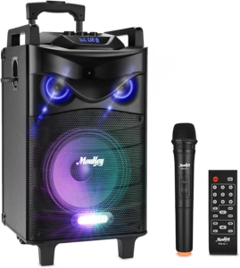 JYX Karaoke Complet avec 2 Microphones sans Fil Karaoké Enceinte