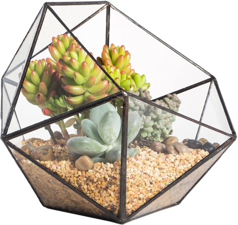 terrarium - NCYP - Terrarium triangulaire en verre fait à la main 