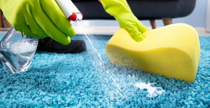 Combien coûte un nettoyage de tapis et où le faire laver ? - Tapishop - Le  Blog.