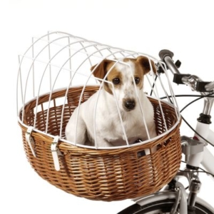 Top 10 des meilleurs paniers de vélo pour chien - Le Parisien