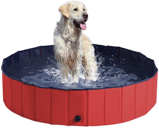 piscine pour chien - PawHut D01-014RD