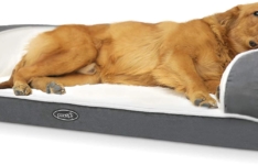 Canapé-lit orthopédique pour chien Pecute