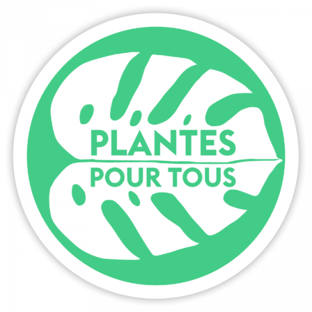 Site de vente de plante en ligne - Plante Pour Tous - La jardinerie à petit prix